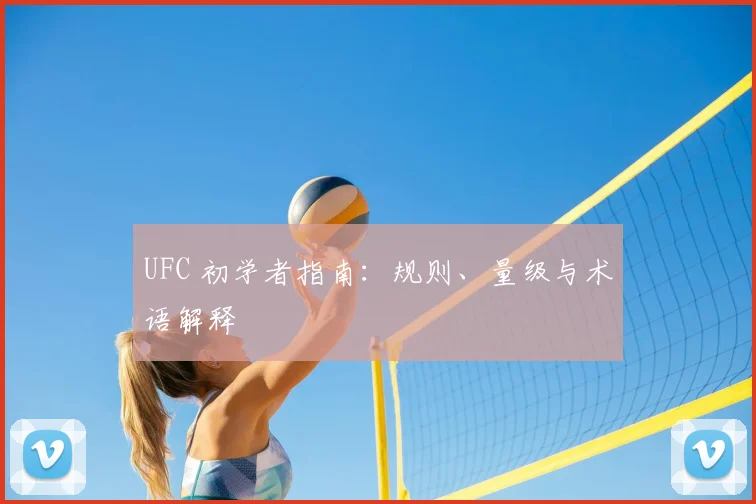UFC 初学者指南:规则、量级与术语解释