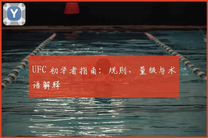 UFC 初学者指南:规则、量级与术语解释